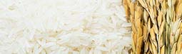 Arroz