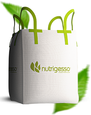 Nutrigesso