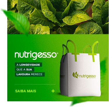 Nutrigesso